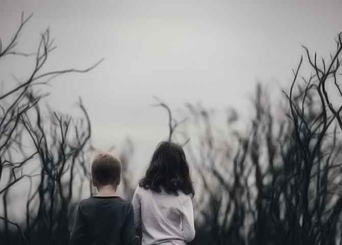 精彩纷呈的器测压文章